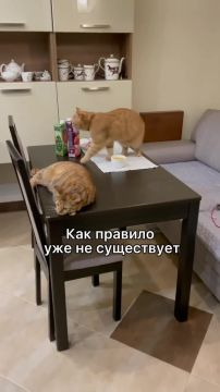 video2025-05-2018-40-10
