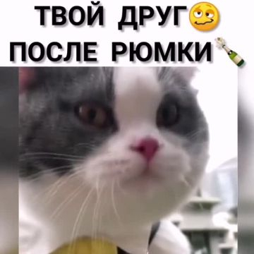 video2025-05-2223-58-31