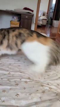 во какой