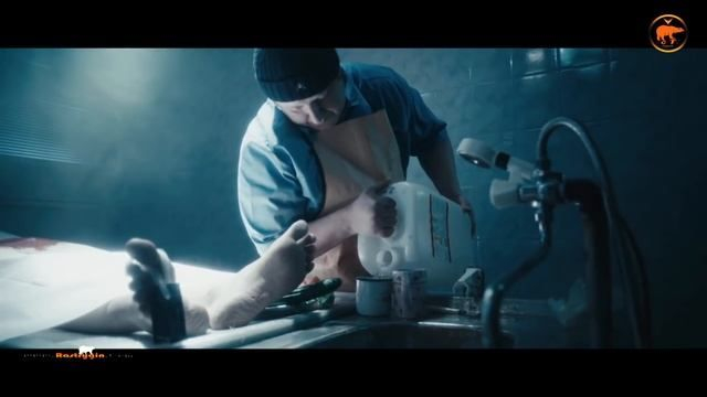 Ленинград — ЗОЖ