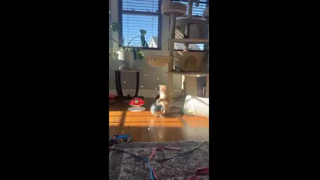 дискотека